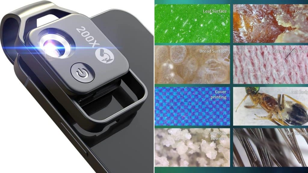 Lente microscópio acoplada a iPhone e exemplos de imagens capturadas por ela